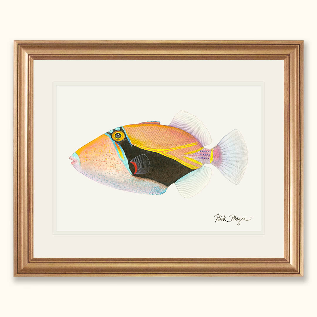 NEW PAINTING: HUMUHUMUNUKUNUKUAPUA'A!