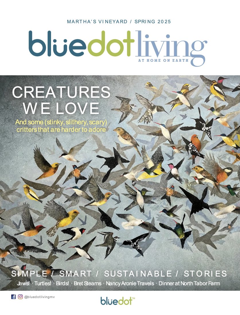 Art Featured in "50 Years After Jaws" Article in Blue Dot Living