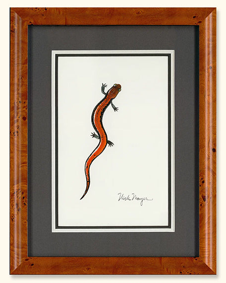 salamander painted art
