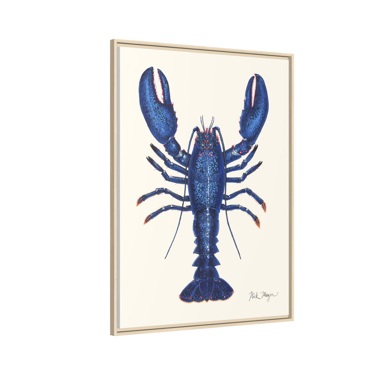 Blue Lobster II Framed Canvas Print Printify