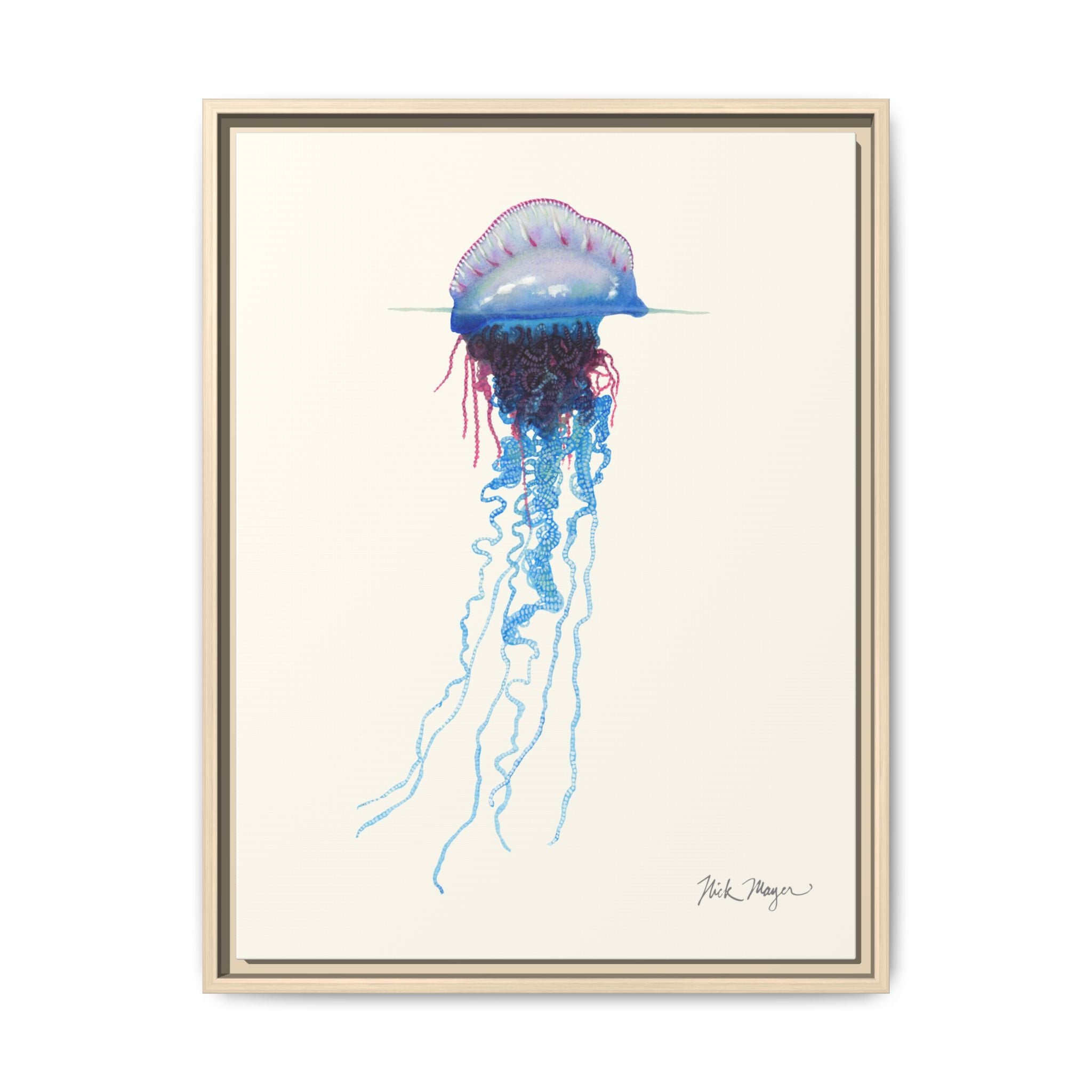 Portuguese Man O' War Framed Canvas Print Printify