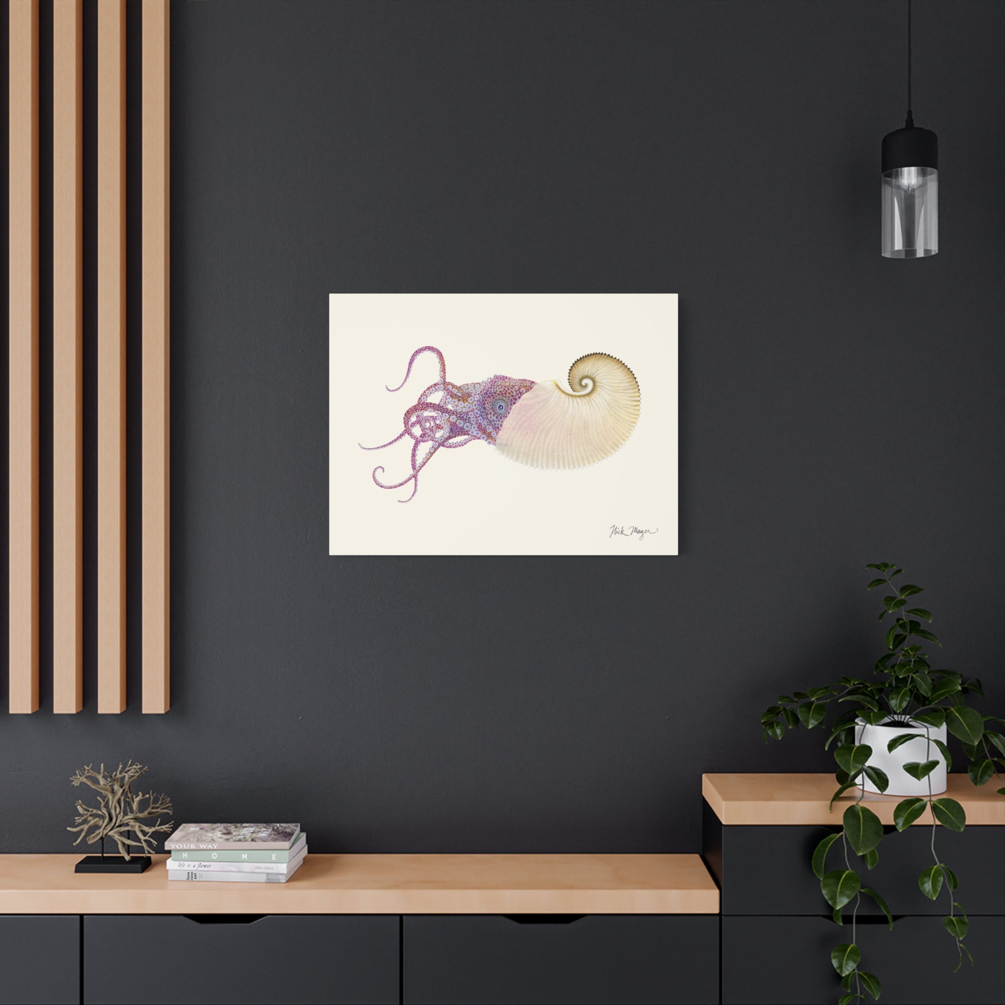 Paper Nautilus Canvas Print