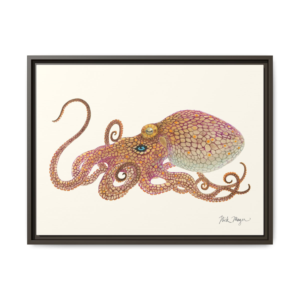Two Spot Octopus Framed Canvas Print Printify