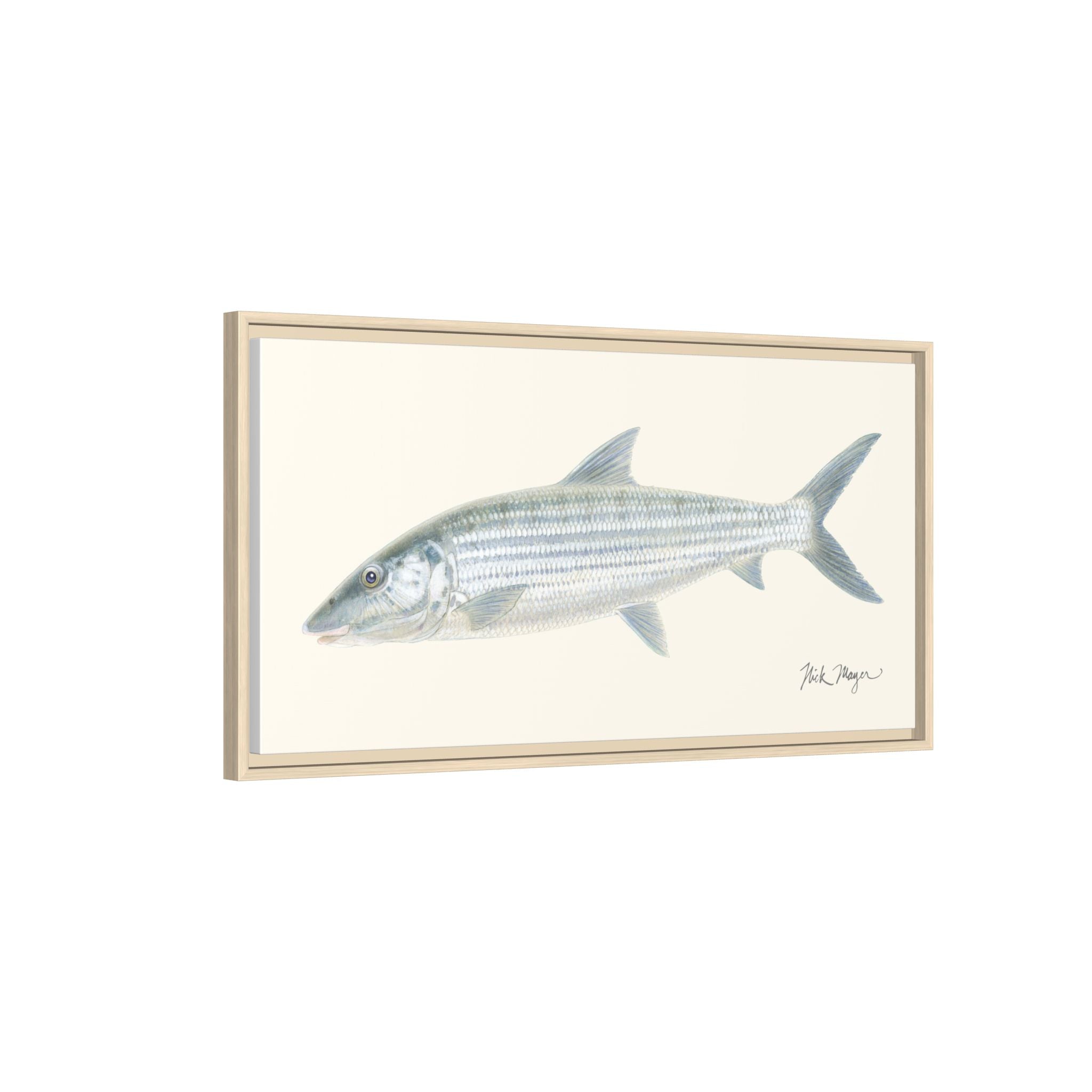 Bonefish Framed Canvas Print Printify