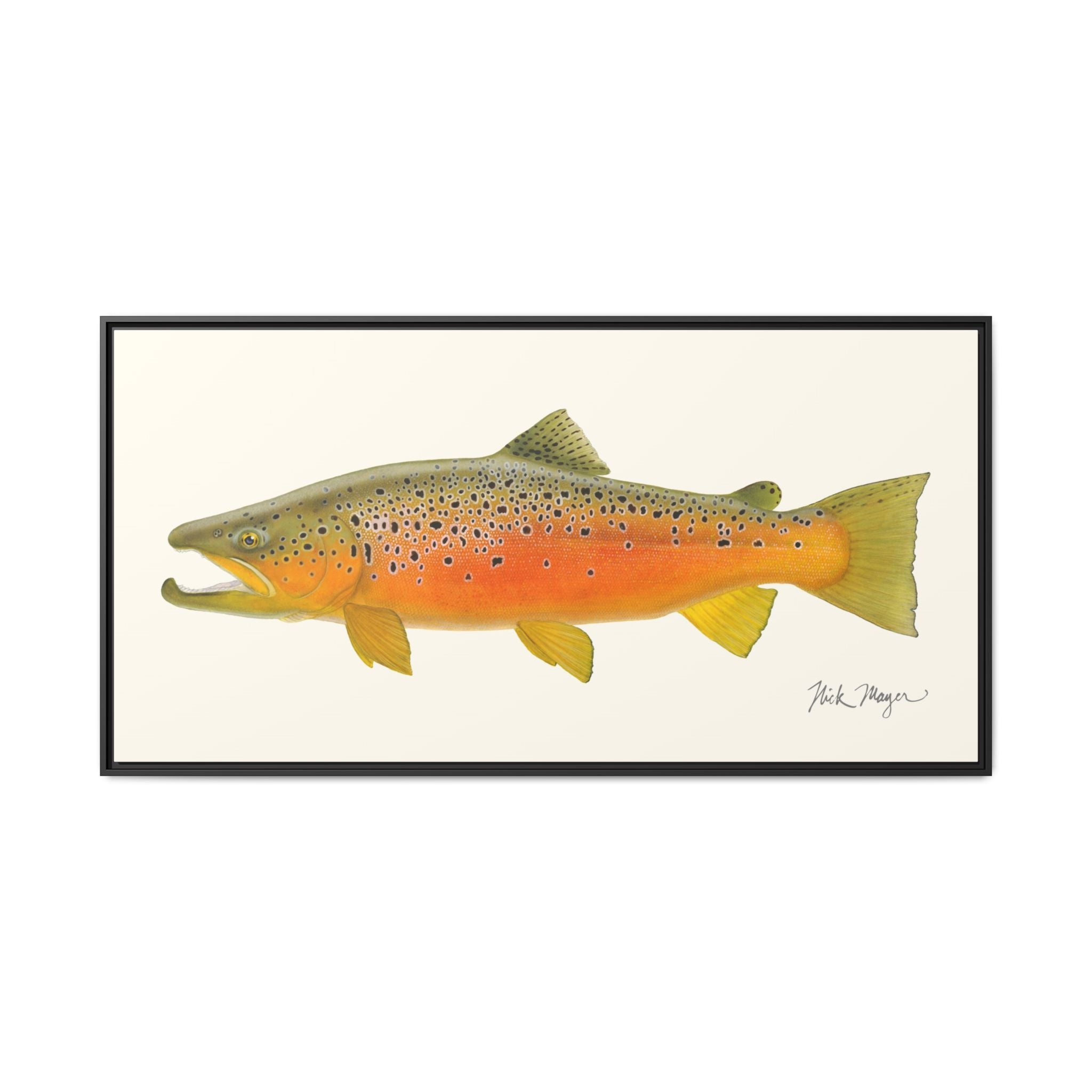 Brown Trout II Framed Canvas Print Printify