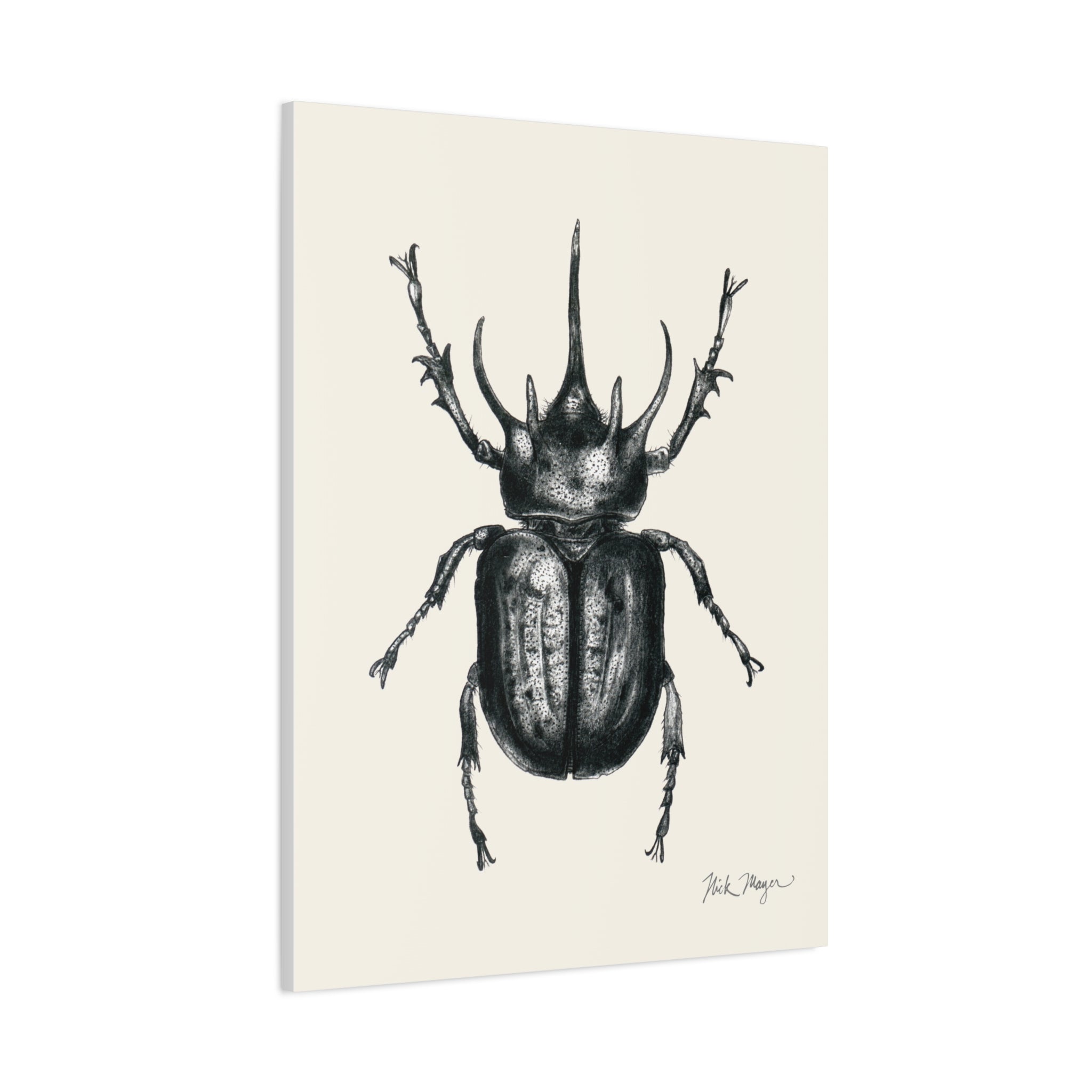 Rhinoceros Beetle Canvas Print