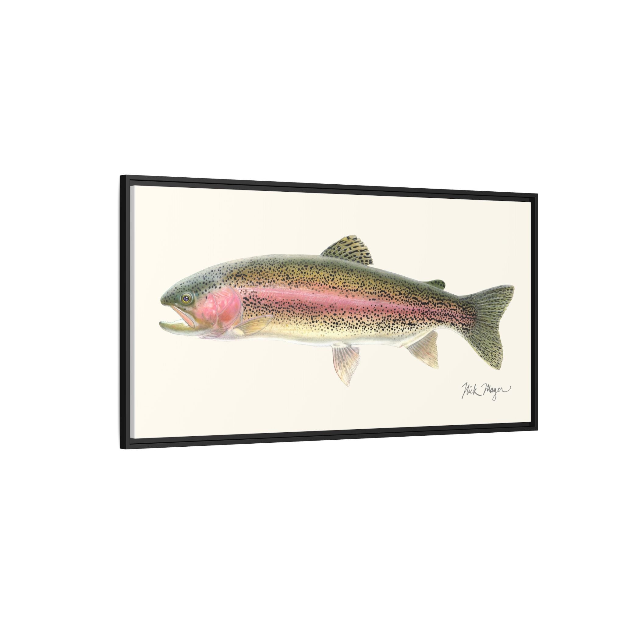 Rainbow Trout Framed Canvas Print Printify