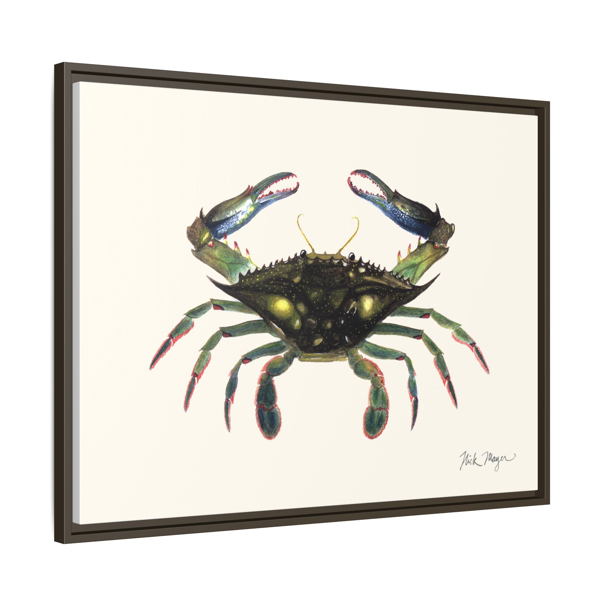 Blue Crab, Claws in Framed Canvas Print Printify