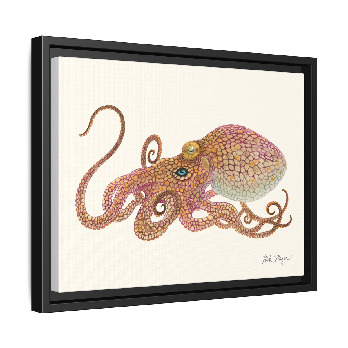 Two Spot Octopus Framed Canvas Print Printify
