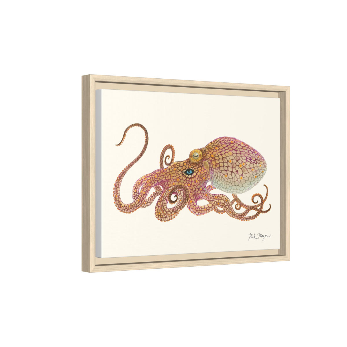 Two Spot Octopus Framed Canvas Print Printify
