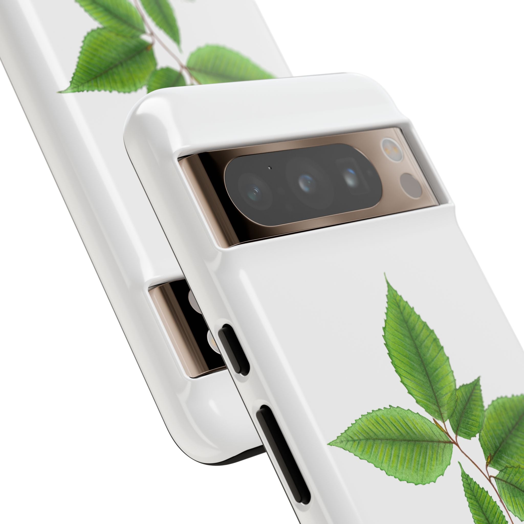 American Beech Phone Case (Samsung)