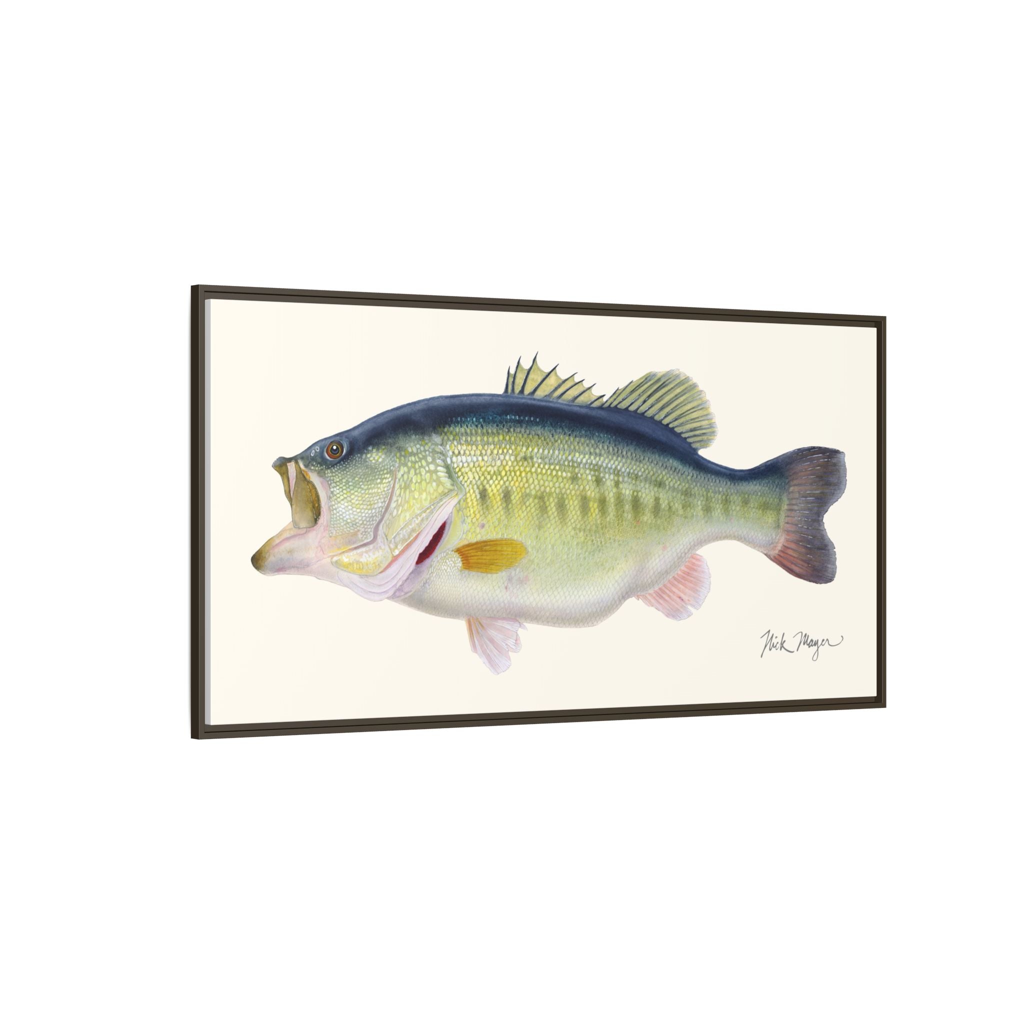 Largemouth Bass 3 Framed Canvas Print