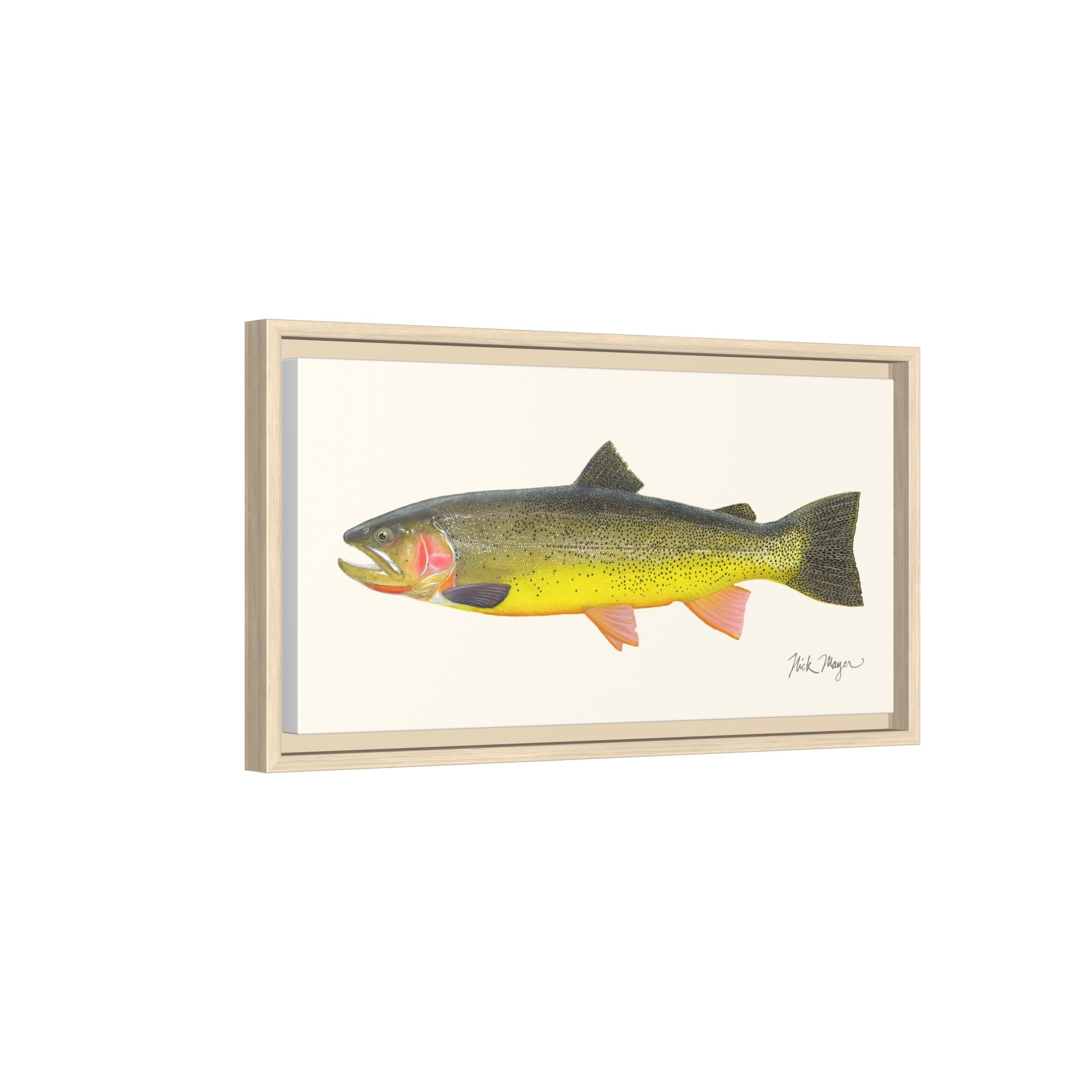Cutthroat Trout III Framed Canvas Print Printify