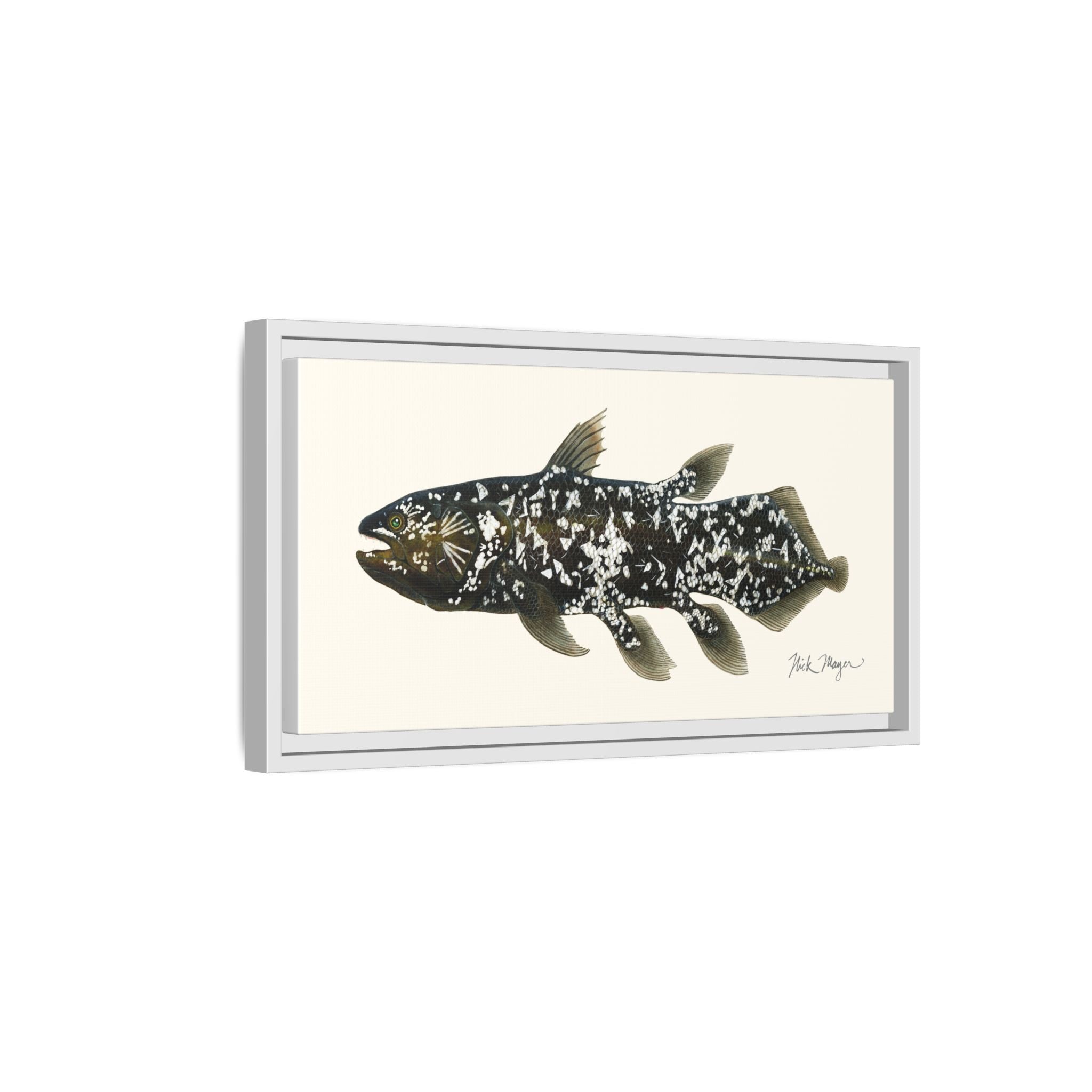 Coelacanth Framed Canvas Print Printify