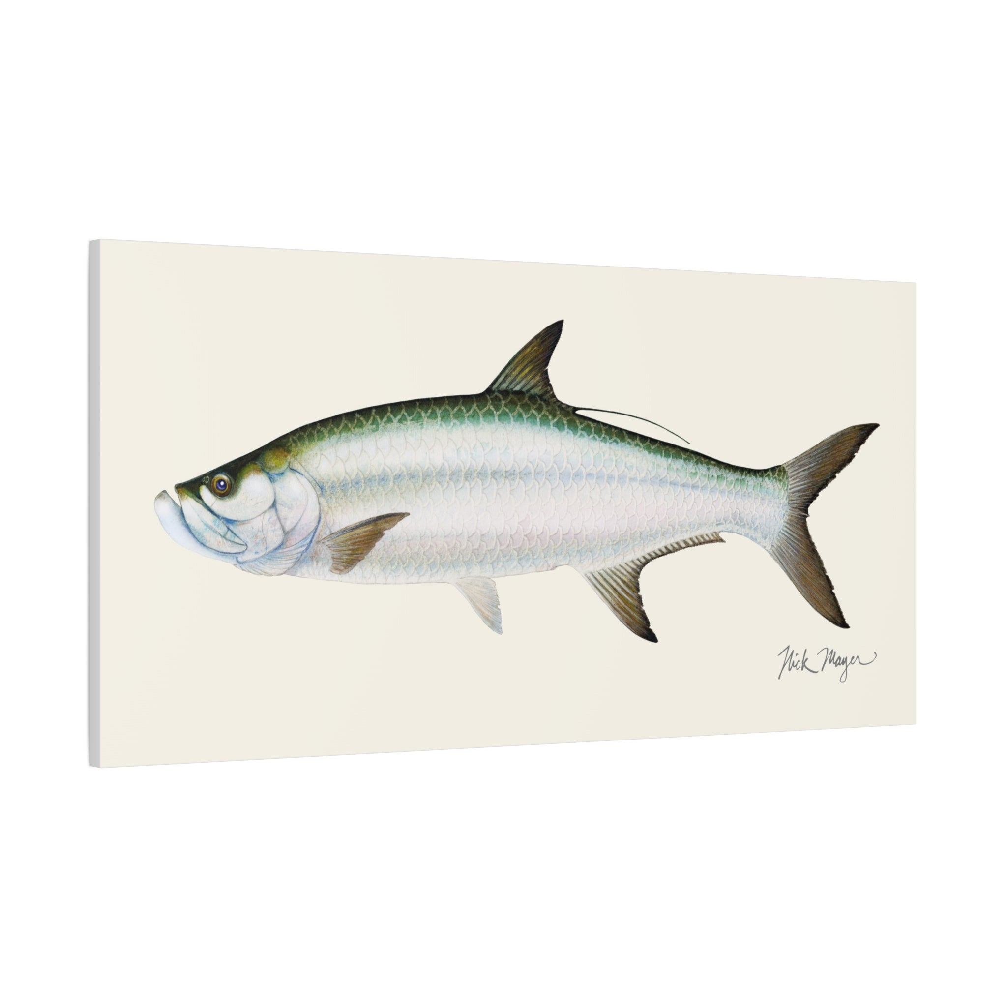 Tarpon Canvas Print Printify