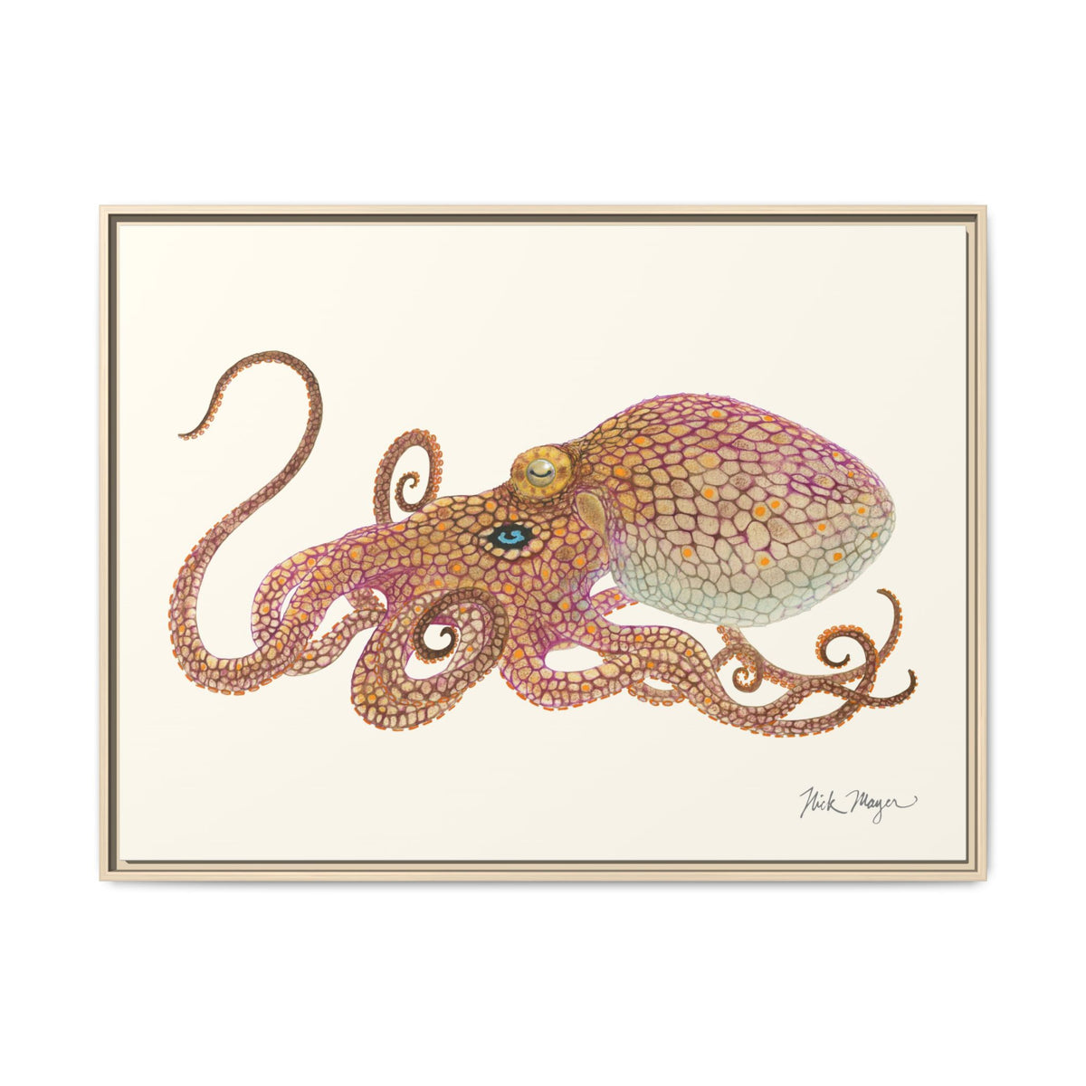 Two Spot Octopus Framed Canvas Print Printify