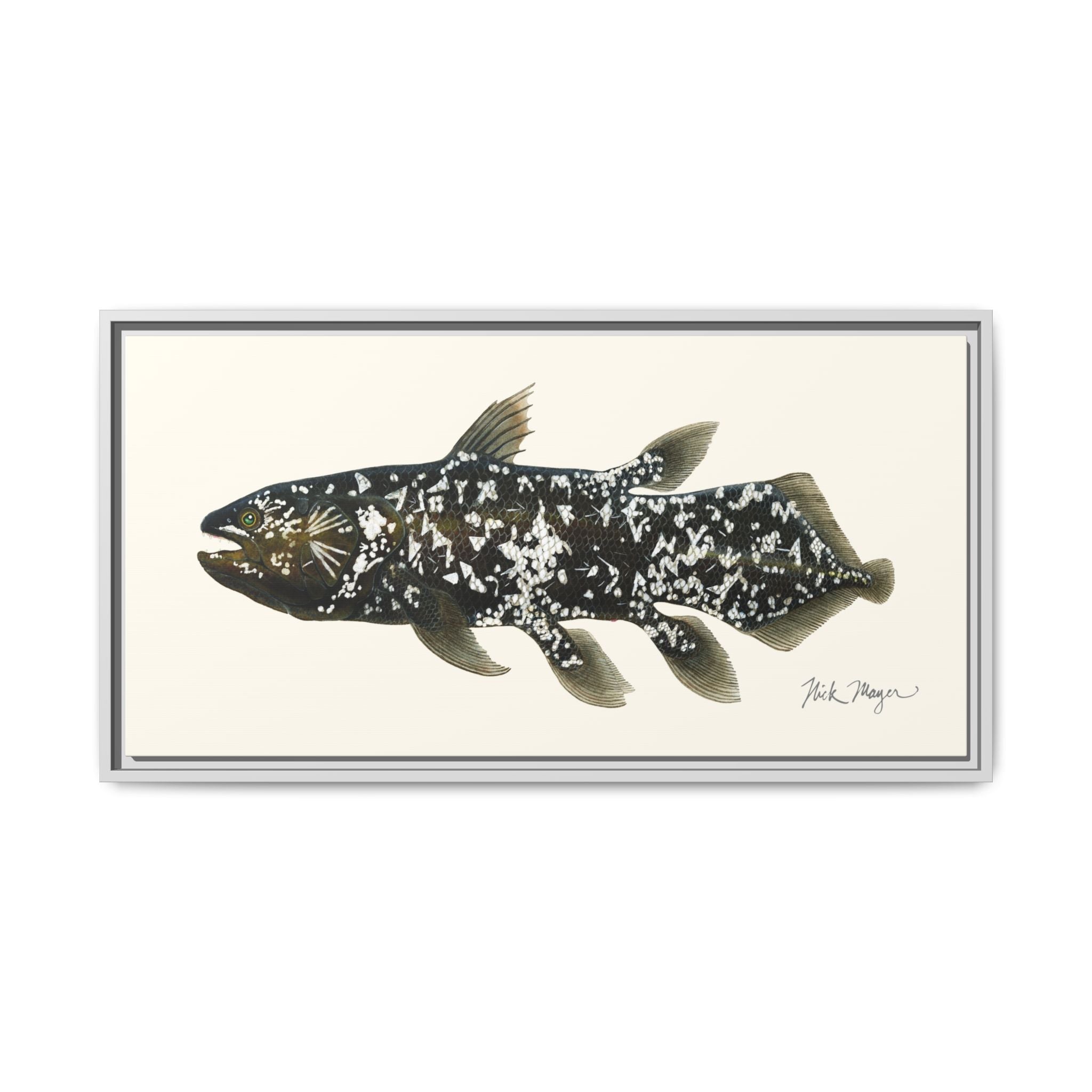 Coelacanth Framed Canvas Print Printify