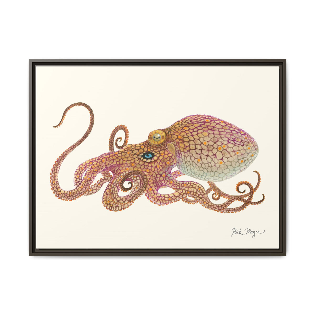 Two Spot Octopus Framed Canvas Print Printify