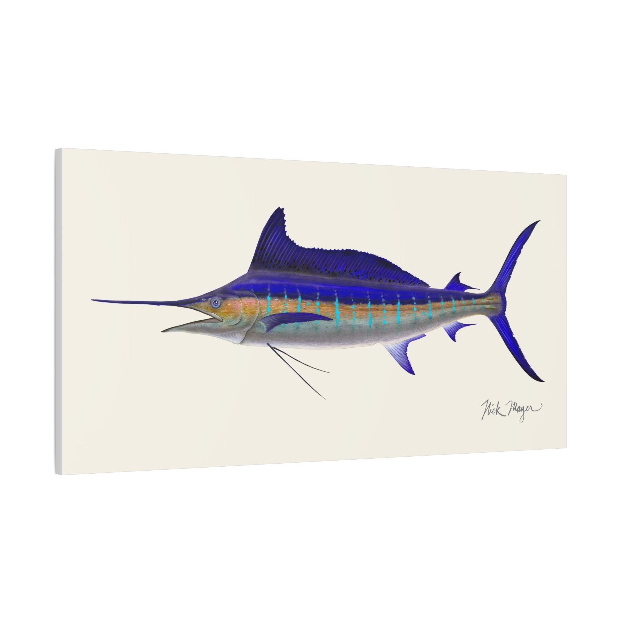 Striped Marlin Canvas Print