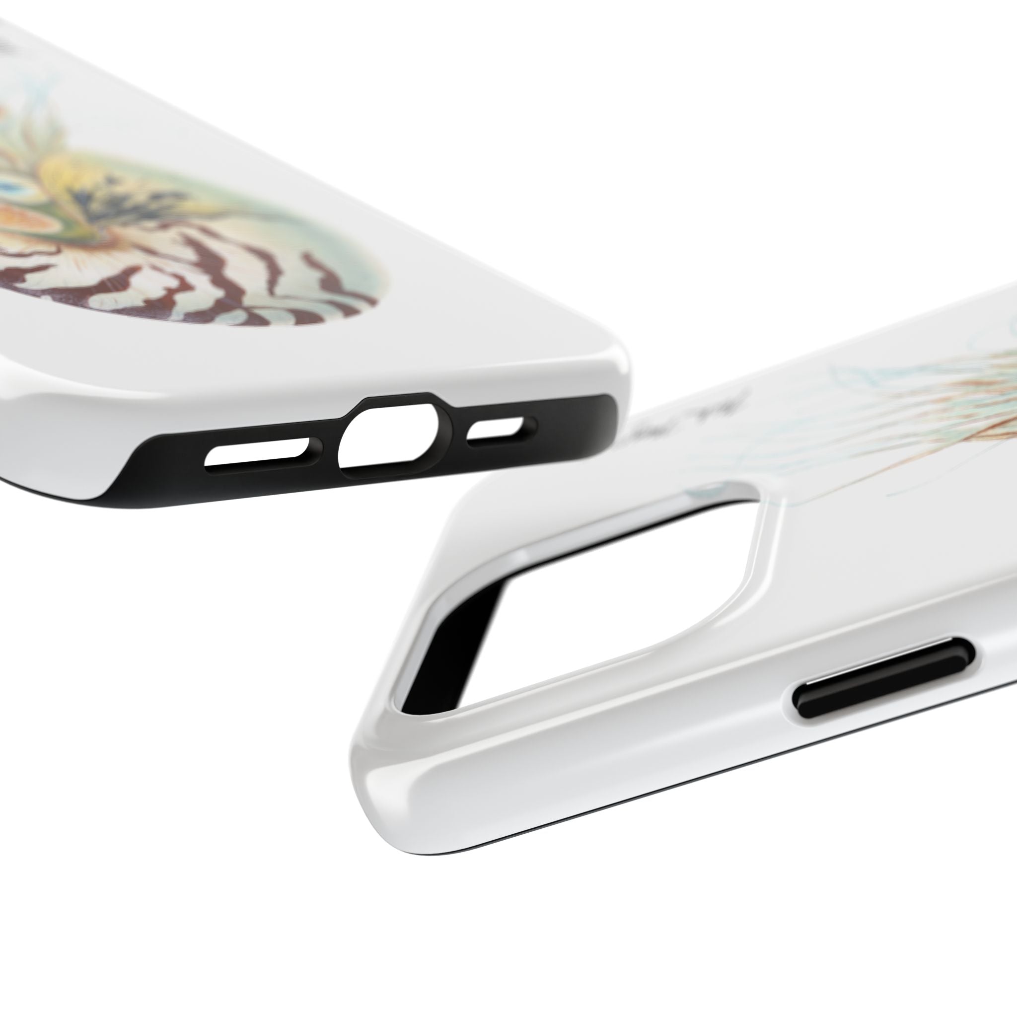 Chambered Nautilus Phone Case (iPhone)