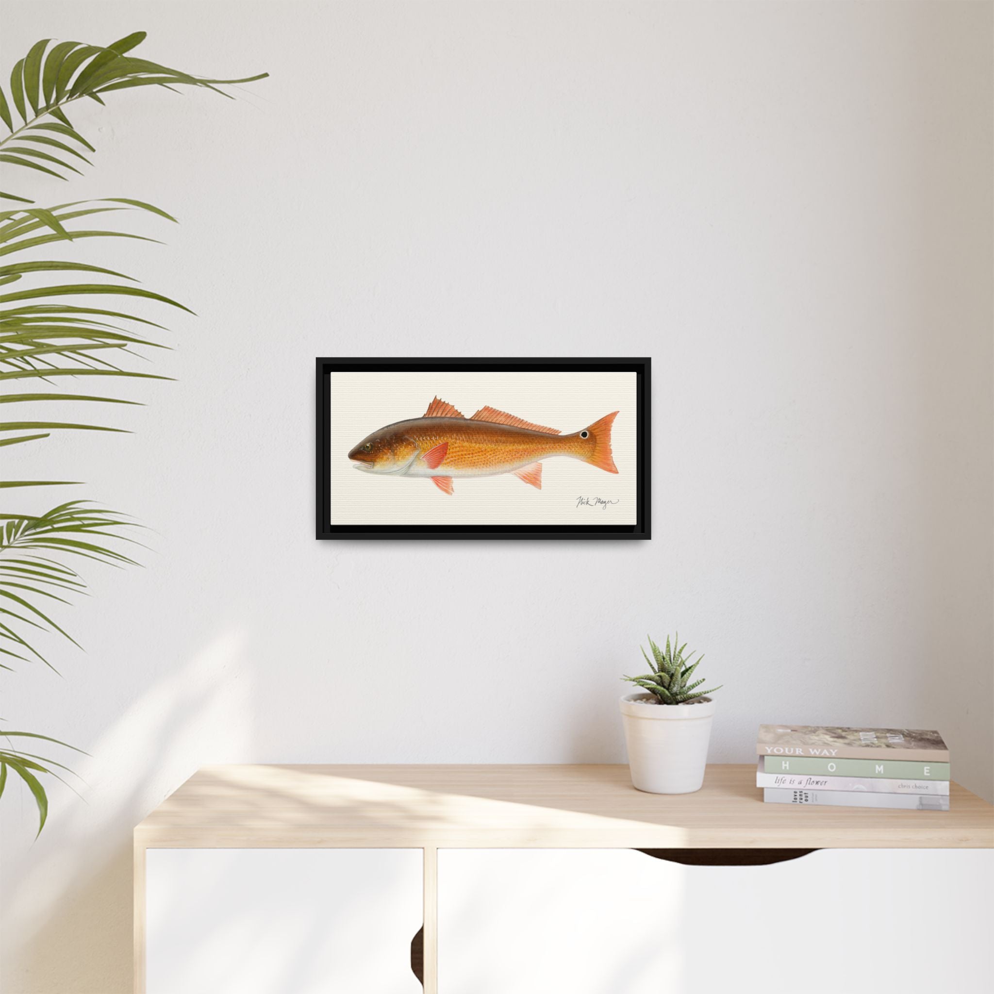 Redfish, 15 lbs Framed Canvas Print Printify