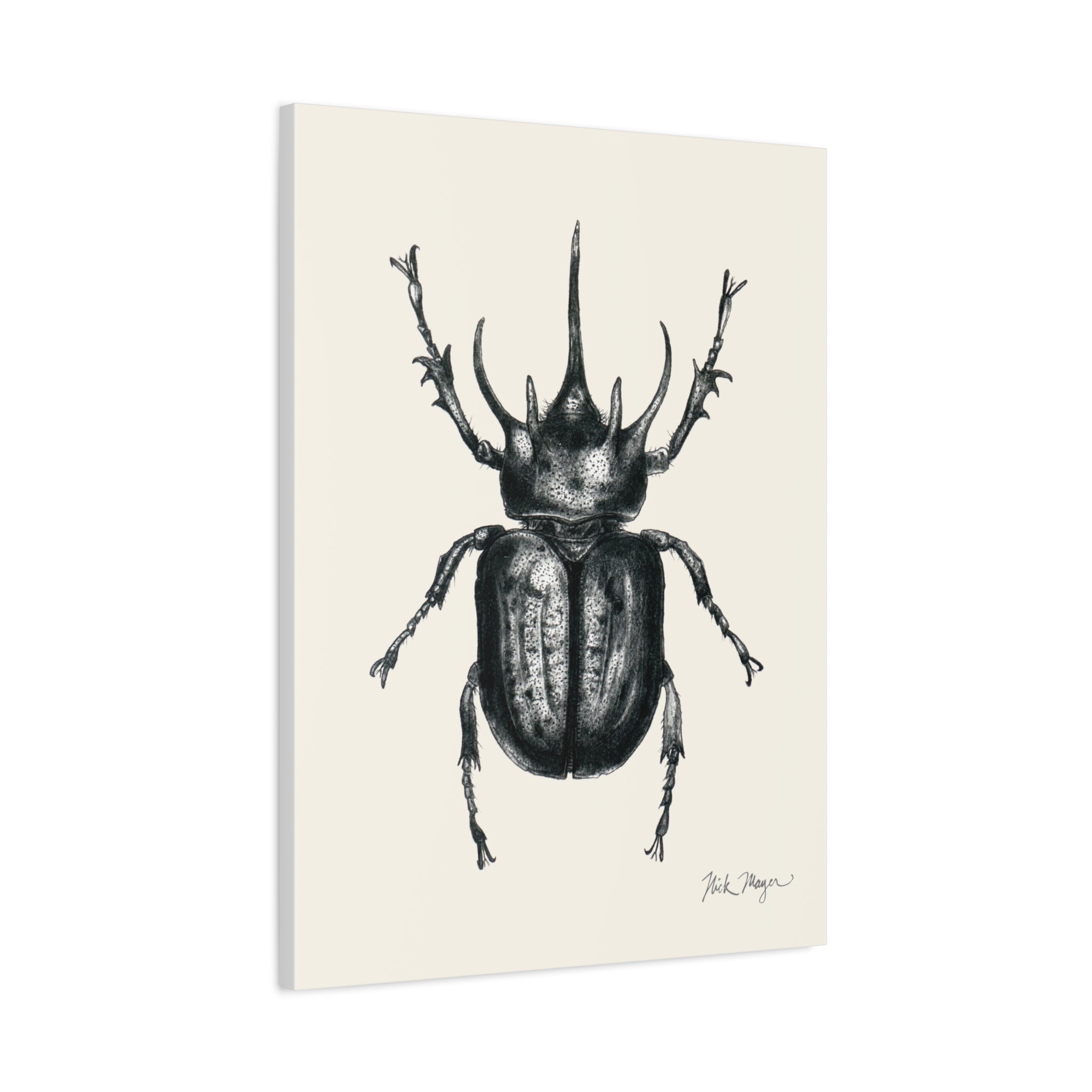 Rhinoceros Beetle Canvas Print