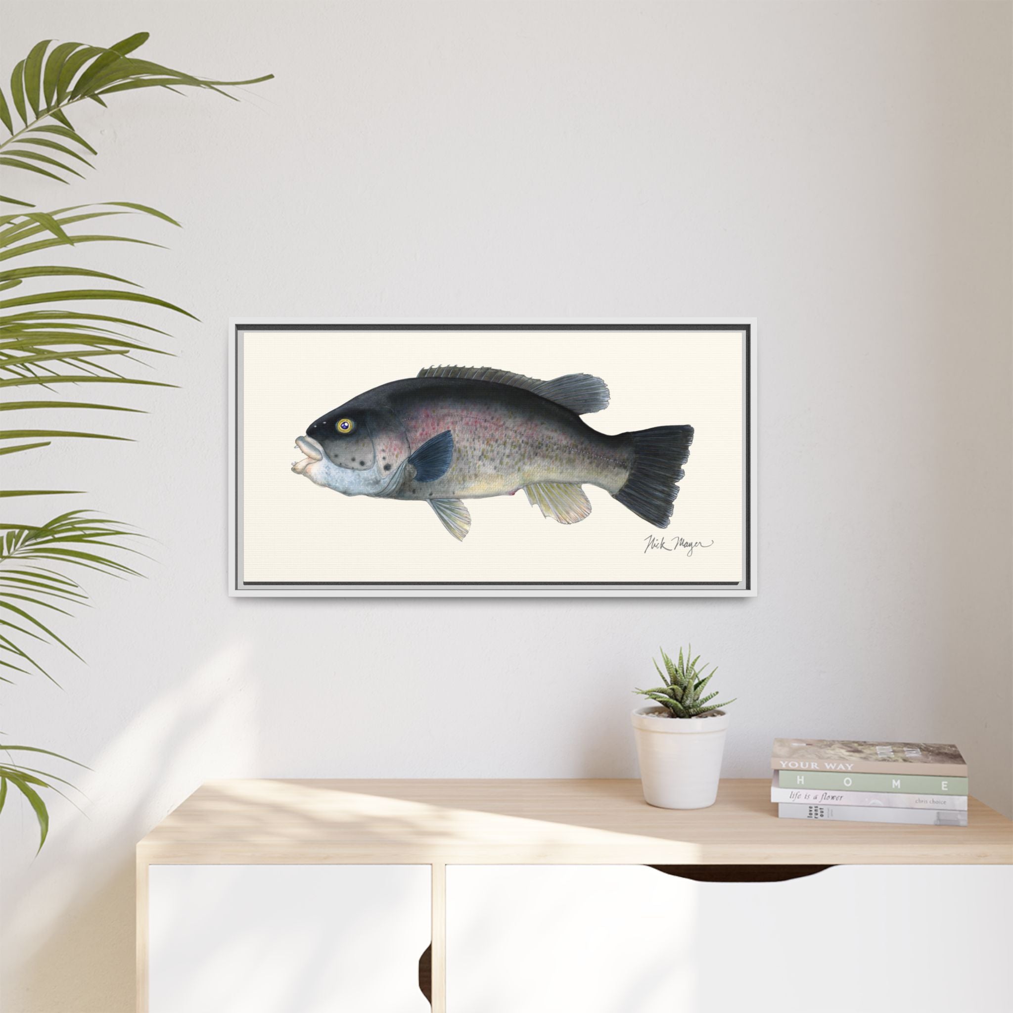 Tautog / Blackfish Framed Canvas Print Printify