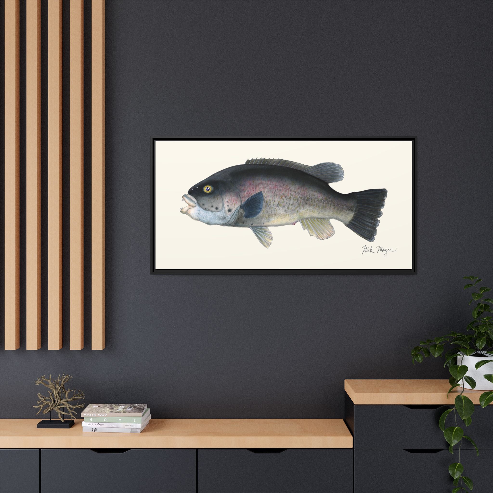 Tautog / Blackfish Framed Canvas Print Printify