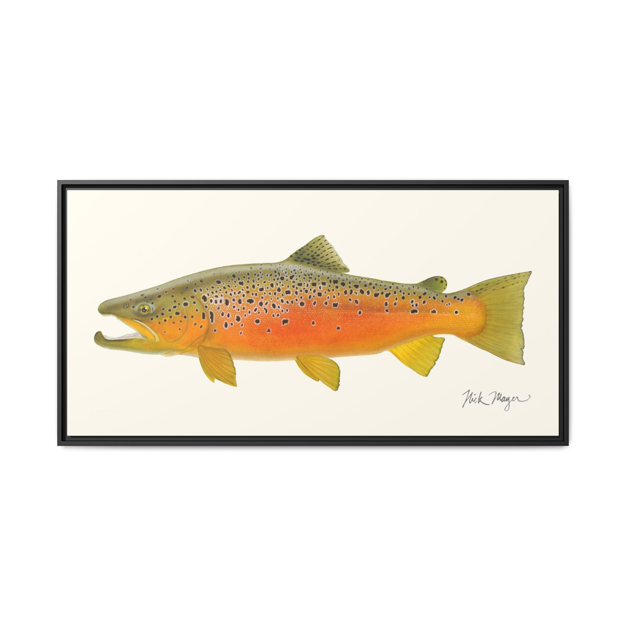 Brown Trout II Framed Canvas Print Printify