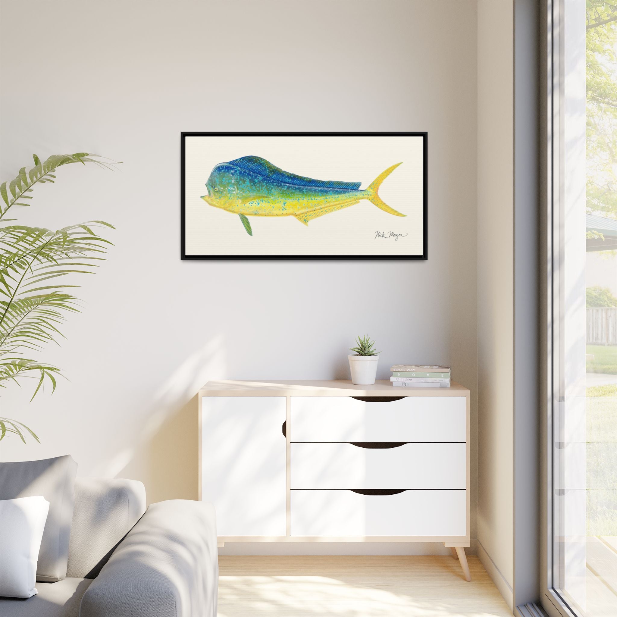 Bull Mahi Mahi Framed Canvas Print