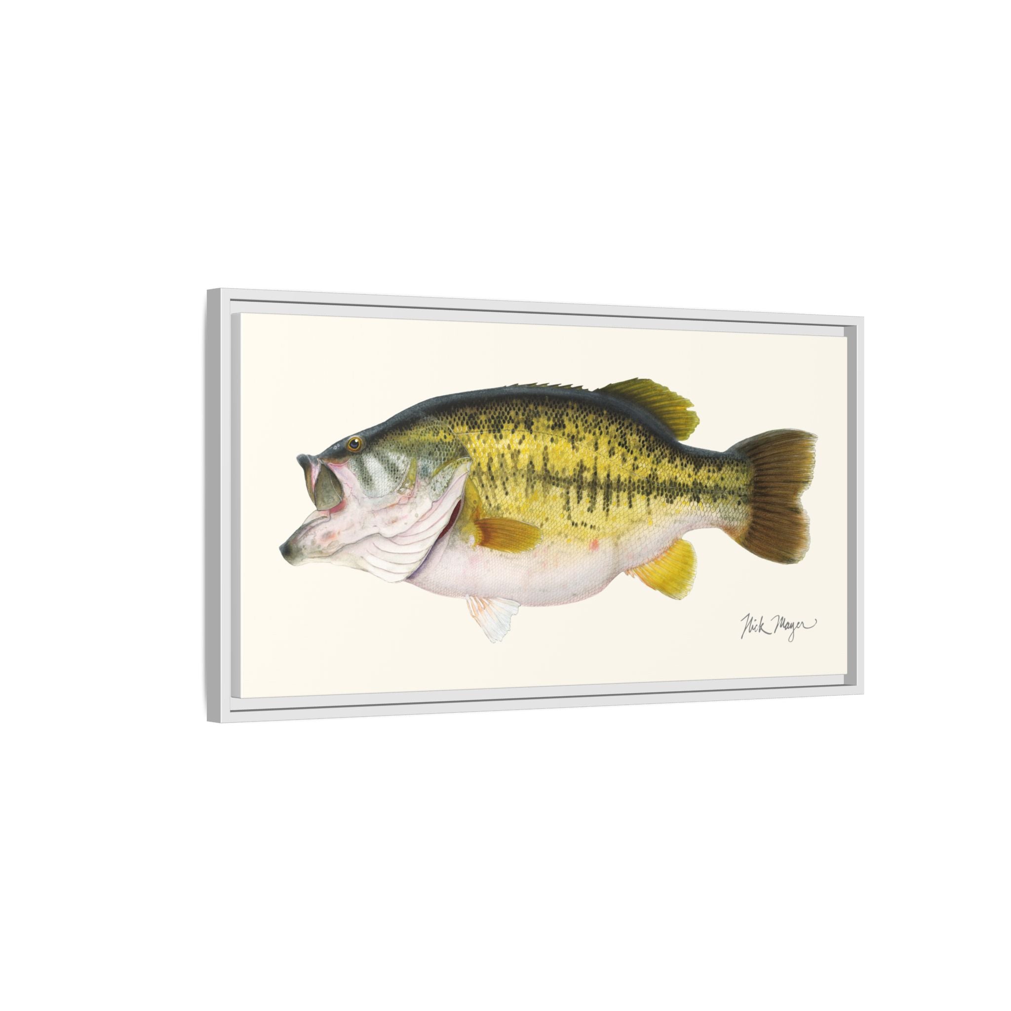 Largemouth Bass II Framed Canvas Print