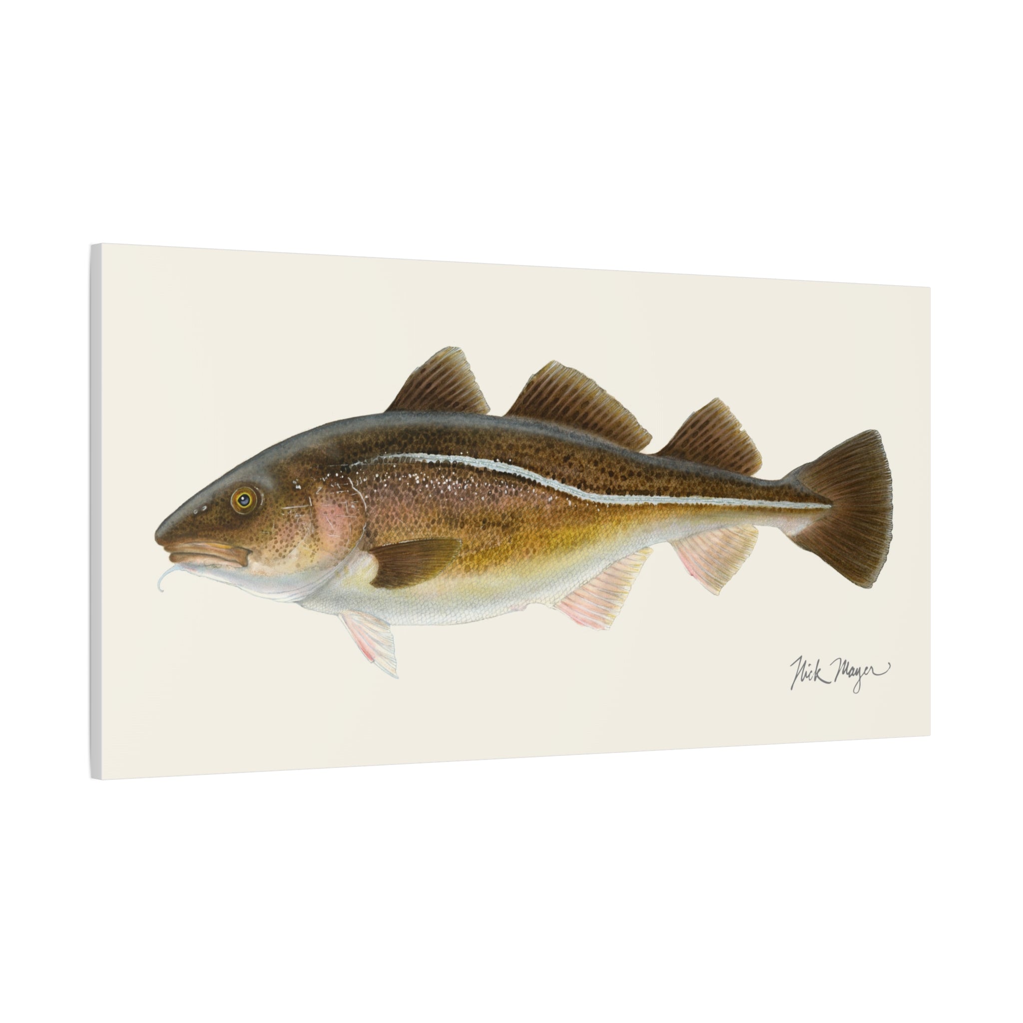 Cod Canvas Print