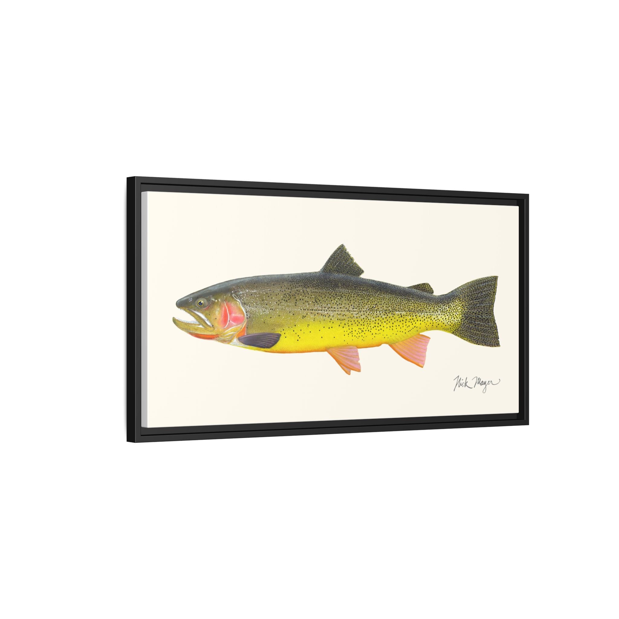 Cutthroat Trout III Framed Canvas Print Printify