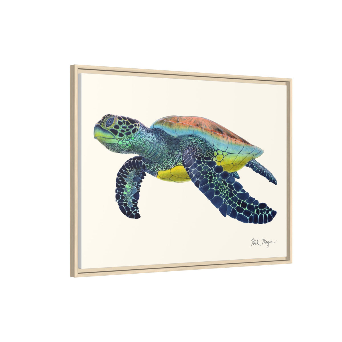 Green Sea Turtle II Framed Canvas Print Printify