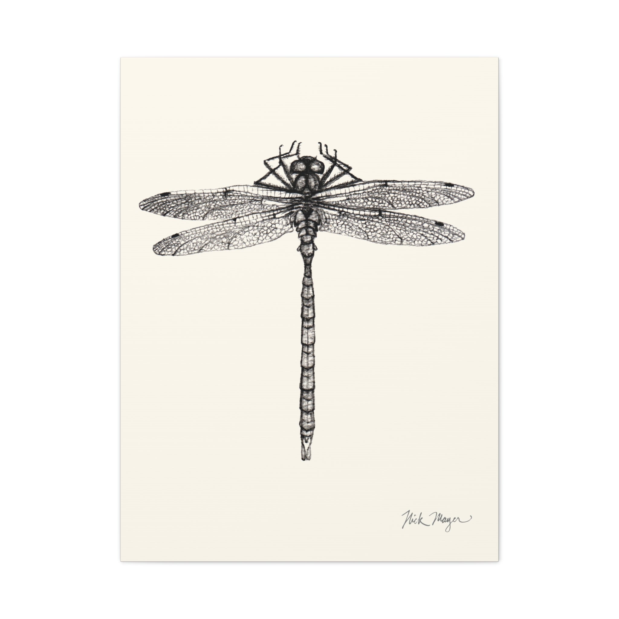 Dragonfly Canvas Print Printify