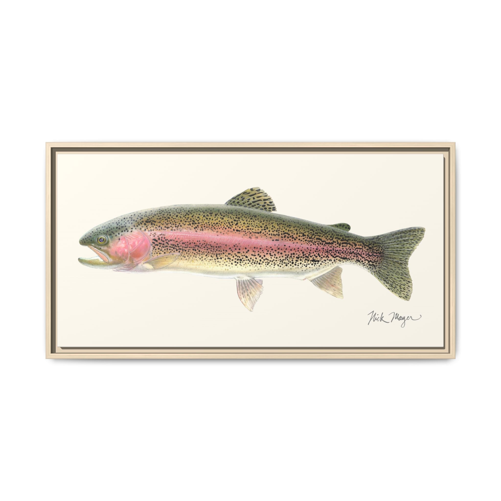 Rainbow Trout Framed Canvas Print Printify