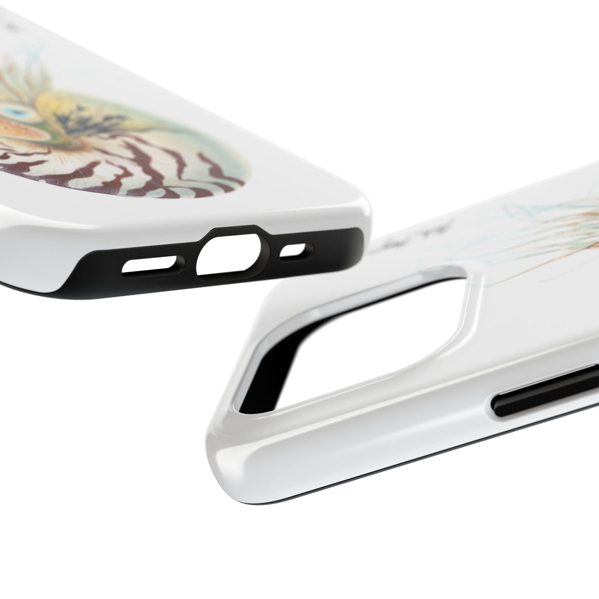 Chambered Nautilus Phone Case (iPhone)