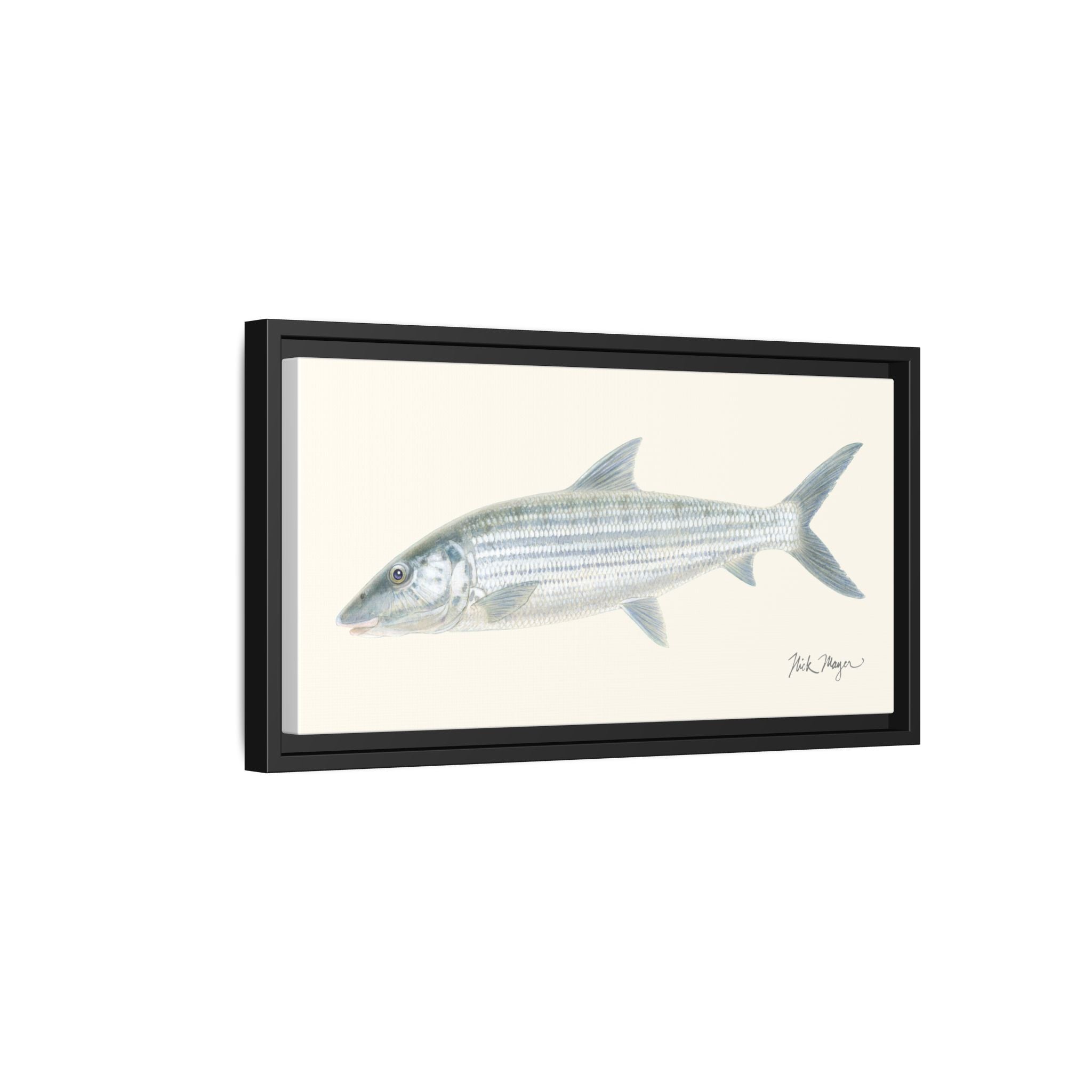 Bonefish Framed Canvas Print Printify