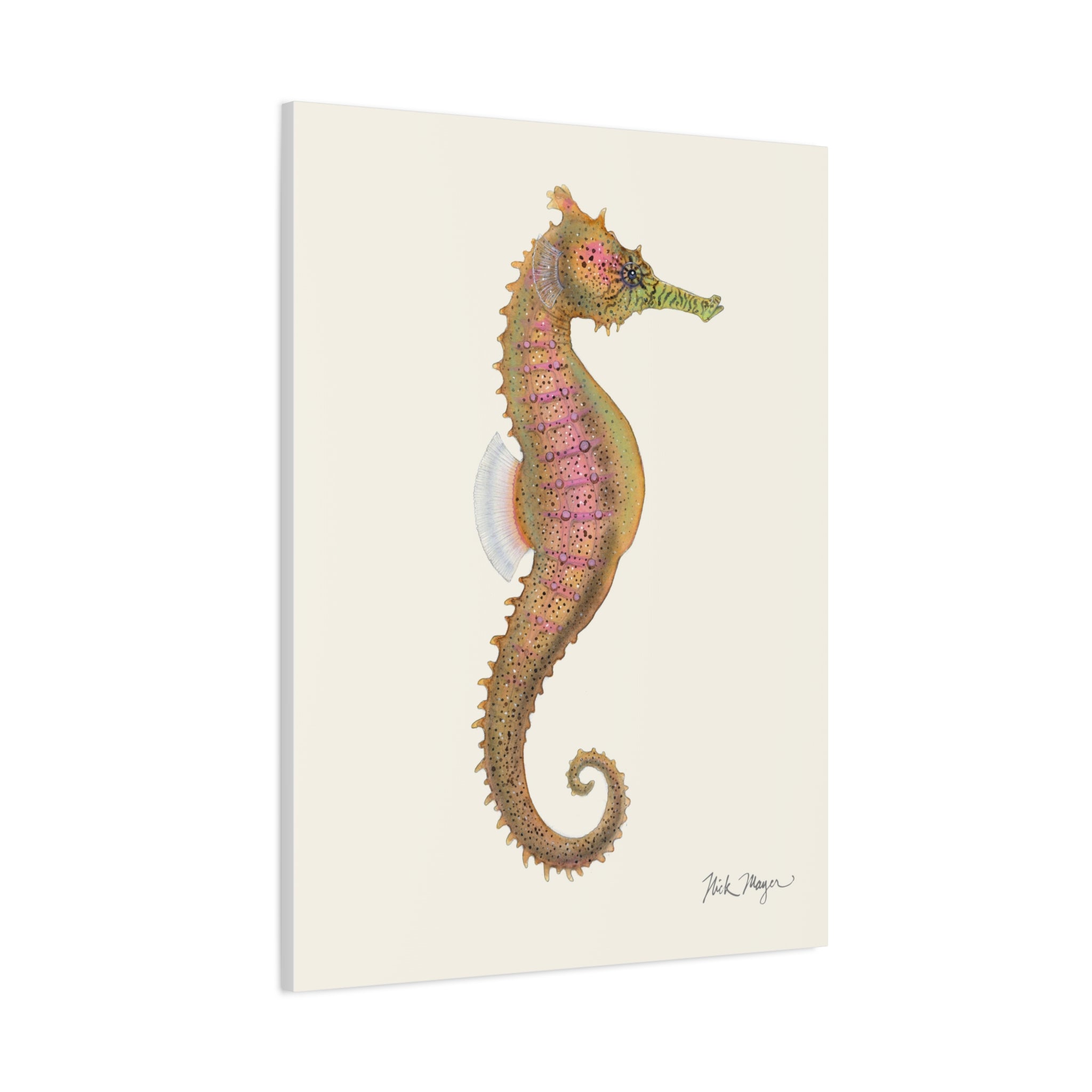 Estuary Seahorse Canvas Print