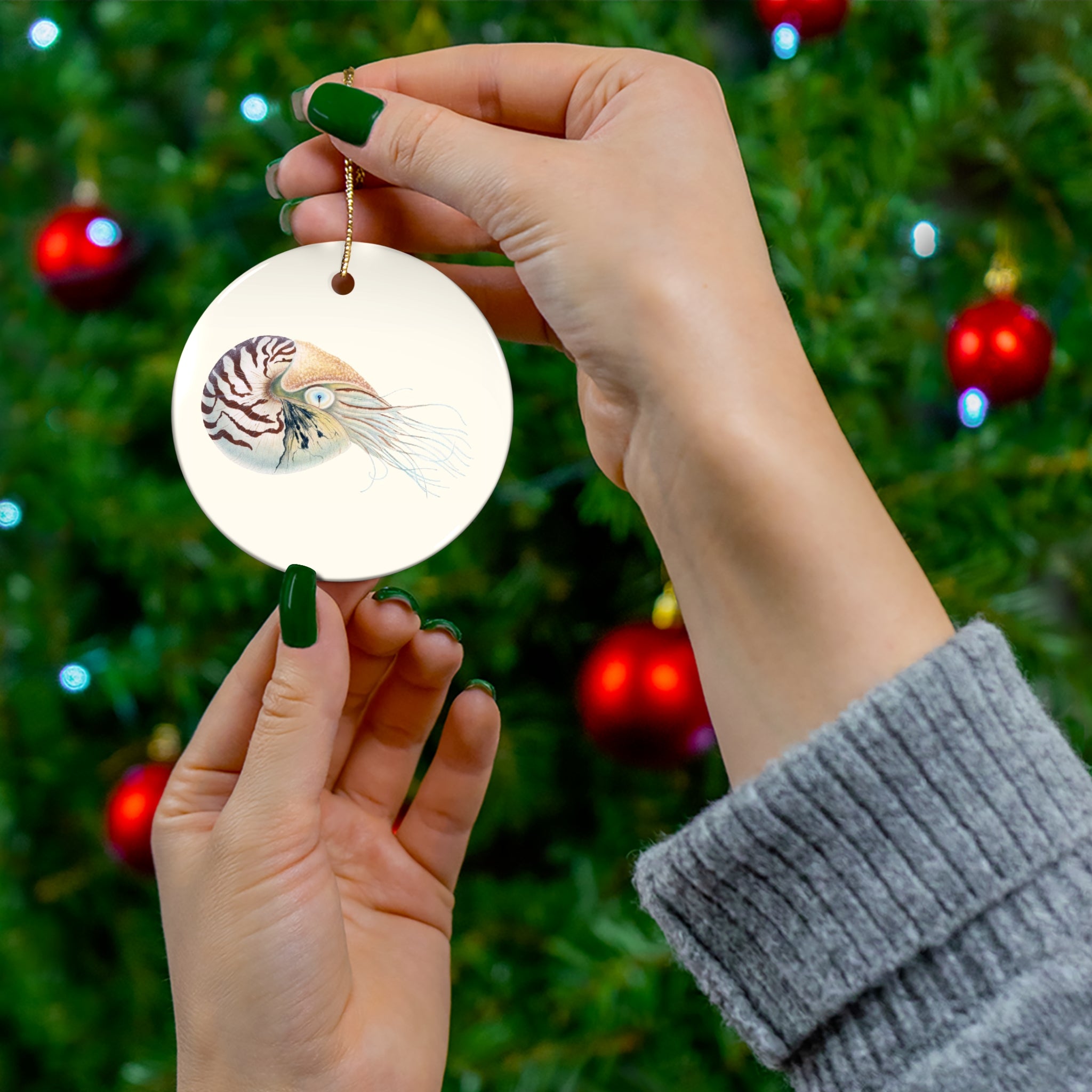 Chambered Nautilus Ceramic Ornament