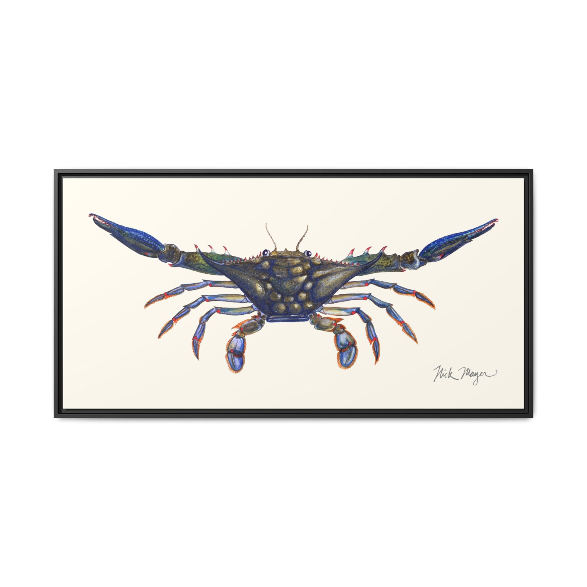 Blue Crab, Claws Out Framed Canvas Print Printify