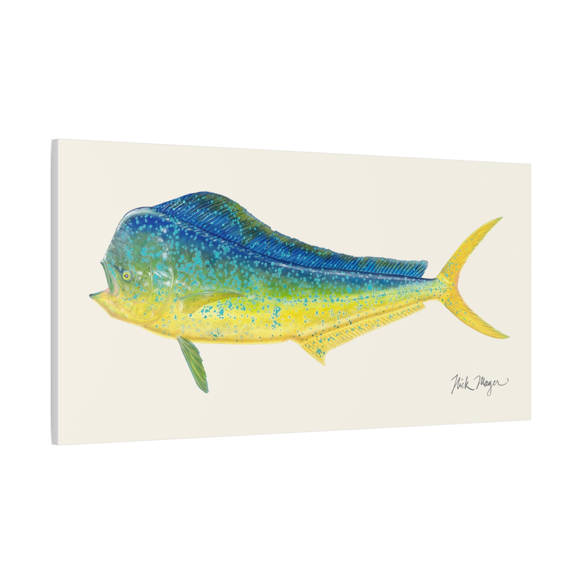 Bull Dorado / Mahi Canvas Print