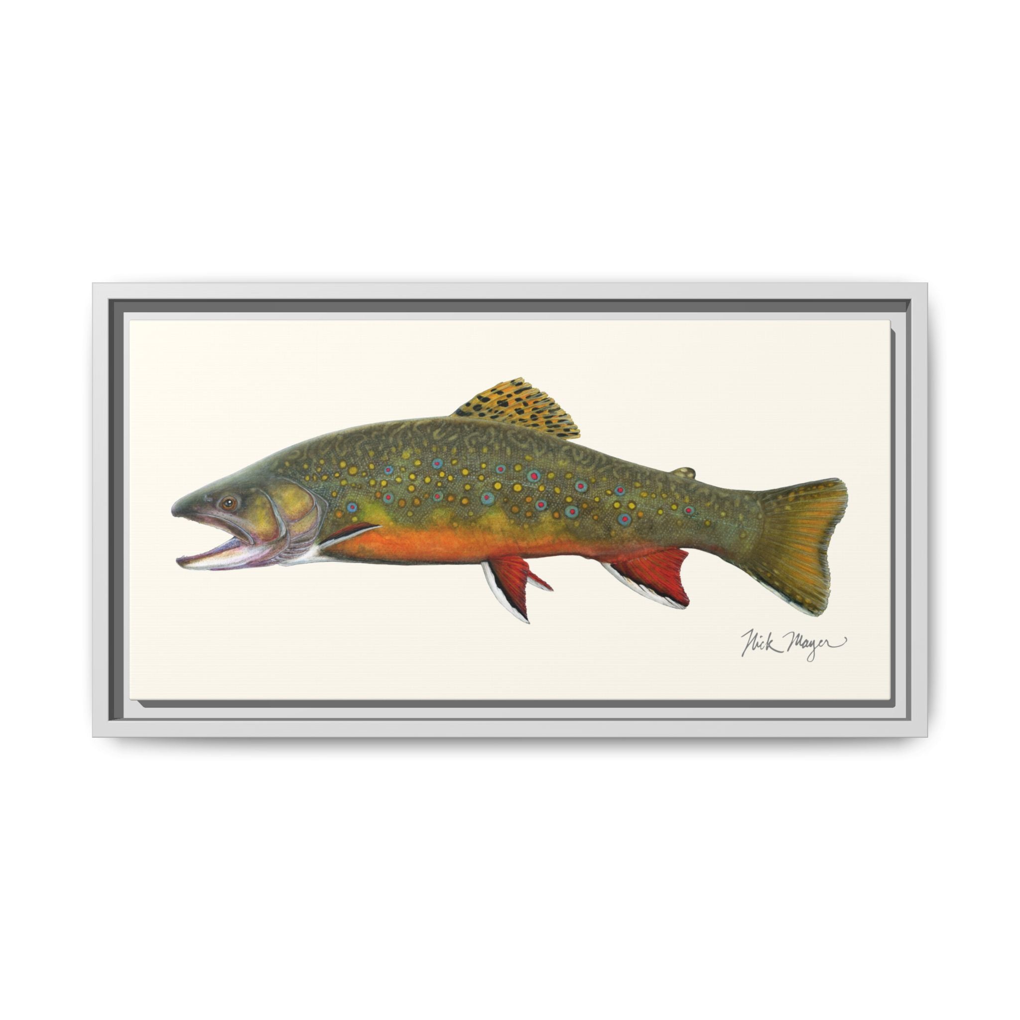 Beaver Pond Brook Trout Framed Canvas Print Printify