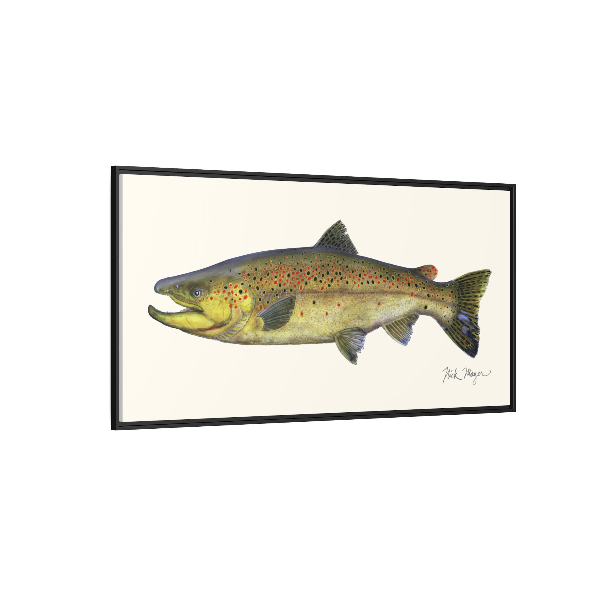 Brown Trout I Framed Canvas Print Printify