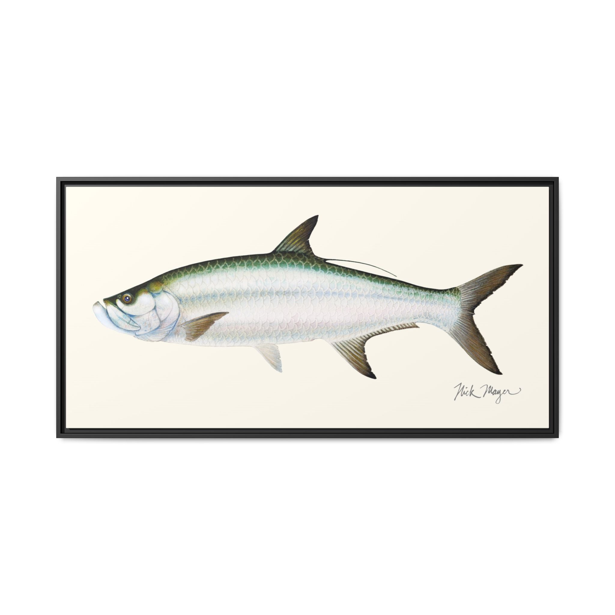Tarpon Framed Canvas Print Printify