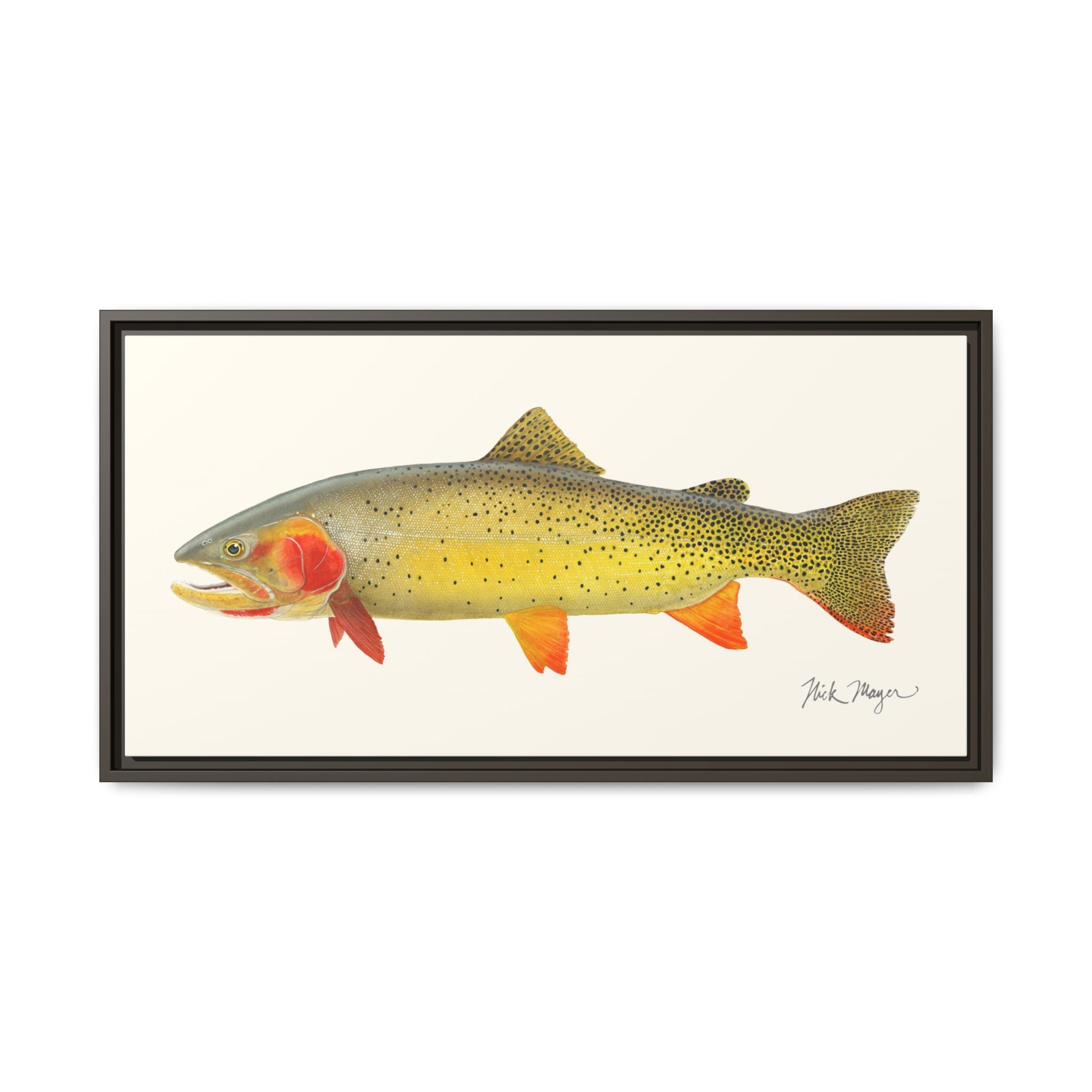 Cutthroat Trout I Framed Canvas Print Printify
