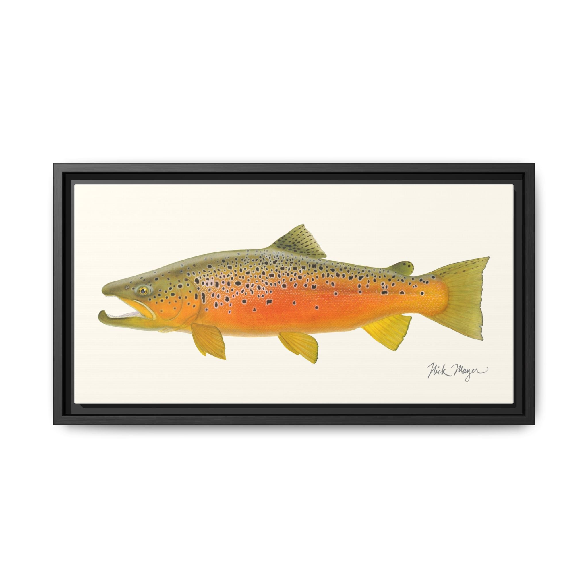 Brown Trout II Framed Canvas Print Printify