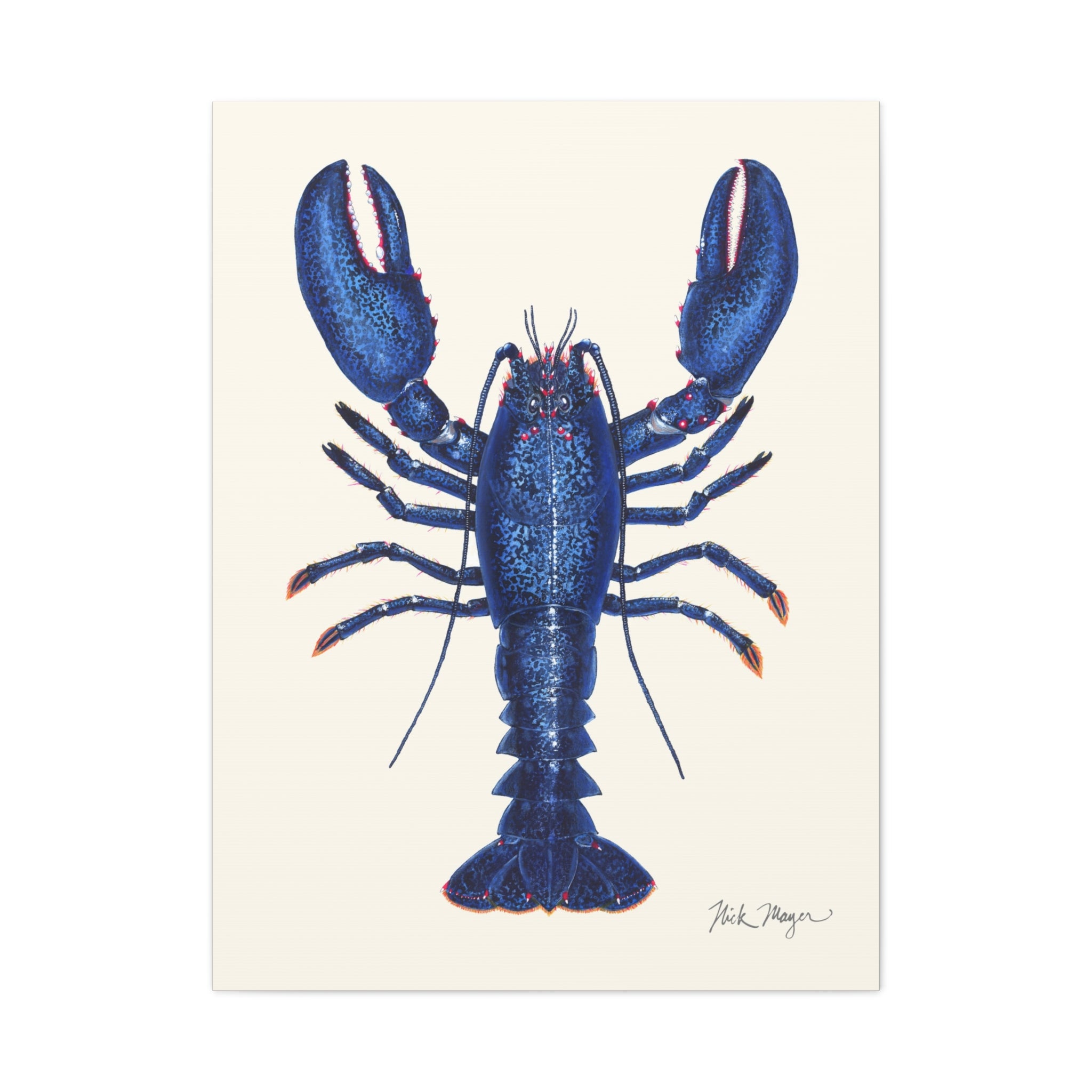 Blue Lobster II Canvas Print