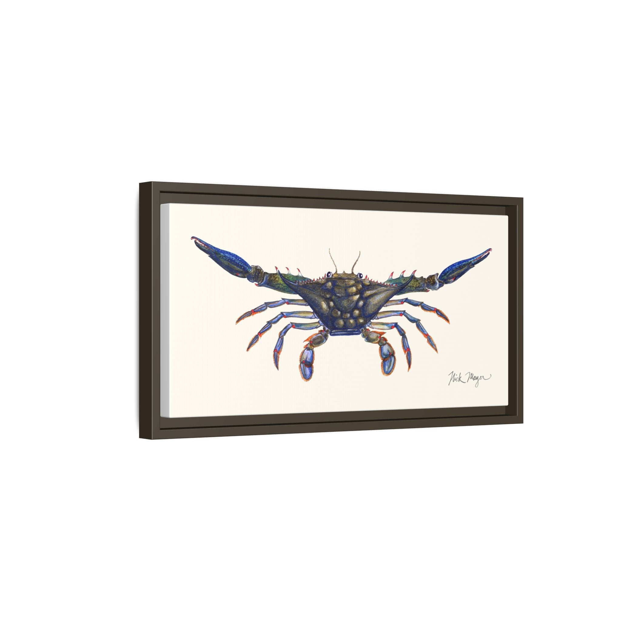 Blue Crab, Claws Out Framed Canvas Print Printify