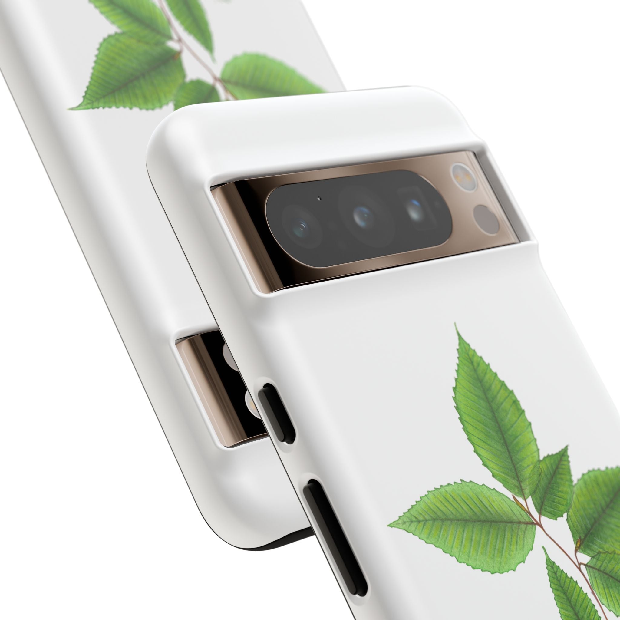 American Beech Phone Case (Samsung)